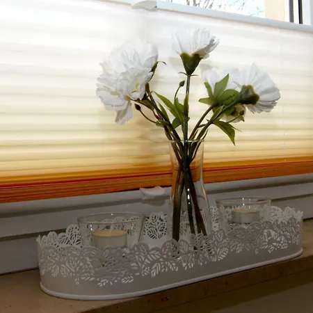 Friedrichs Stuebchen *gemuetlich*modern*innenstadt* Apartament